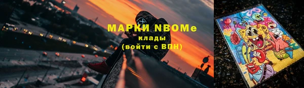 амф Верея