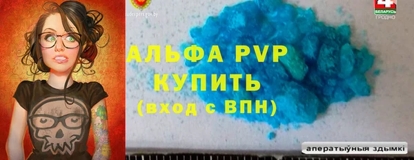 амф Верея