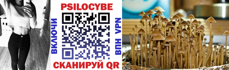 Купить где  Пущино  Псилоцибиновые грибы Cubensis 